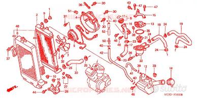 radiatore per honda vt 750 black widow