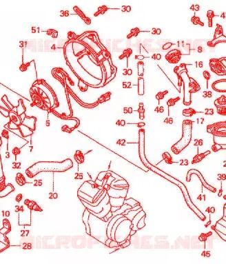 radiatore per honda vt 750 black widow