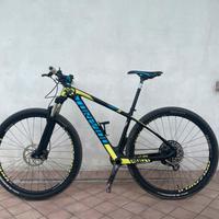 Mtb Torpado 29" full carbon