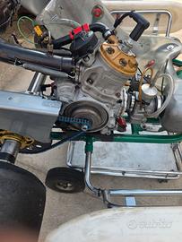 Go kart  Tony kart  401 con motore rock GP 125