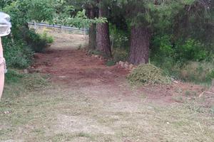 Terreno a Campodipietra