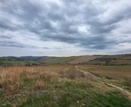 Fano terreno agricolo 15 ha vigna seminativ