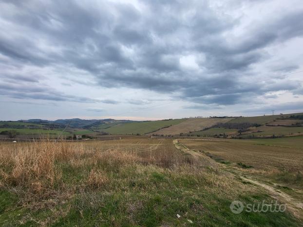 Fano terreno agricolo 15 ha vigna seminativ