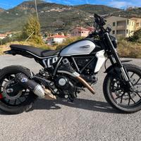 Ducati scrambler 800 icon