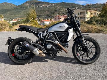 Ducati scrambler 800 icon