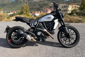 Ducati scrambler 800 icon