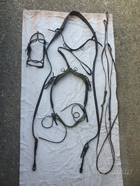 Finimento singolo a pettorale con morso