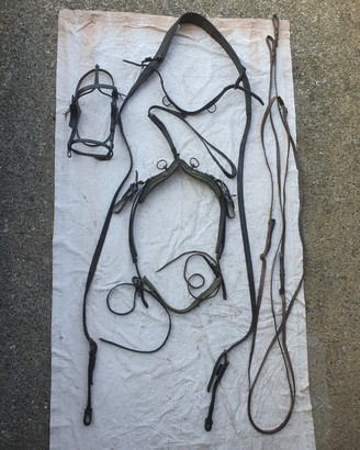 Finimento singolo a pettorale con morso