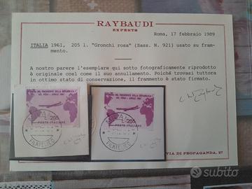 Gronchi Rosa -usato
