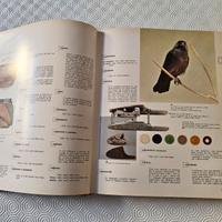 Enciclopedia del Cacciatore – Collezione