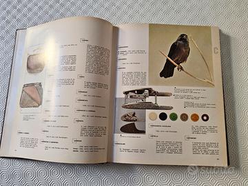 Enciclopedia del Cacciatore – Collezione