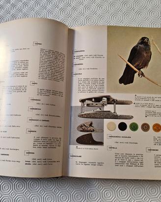 Enciclopedia del Cacciatore – Collezione