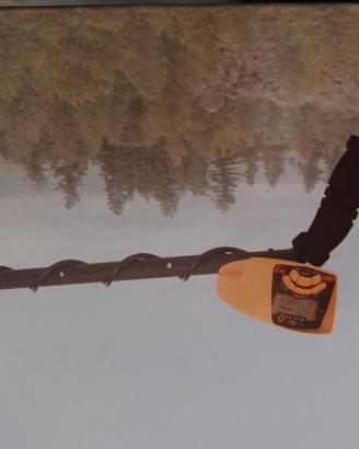 Metal detector GARRET ACE 250