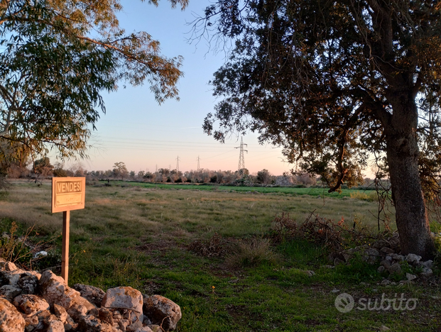 Terreno agricolo a Zollino