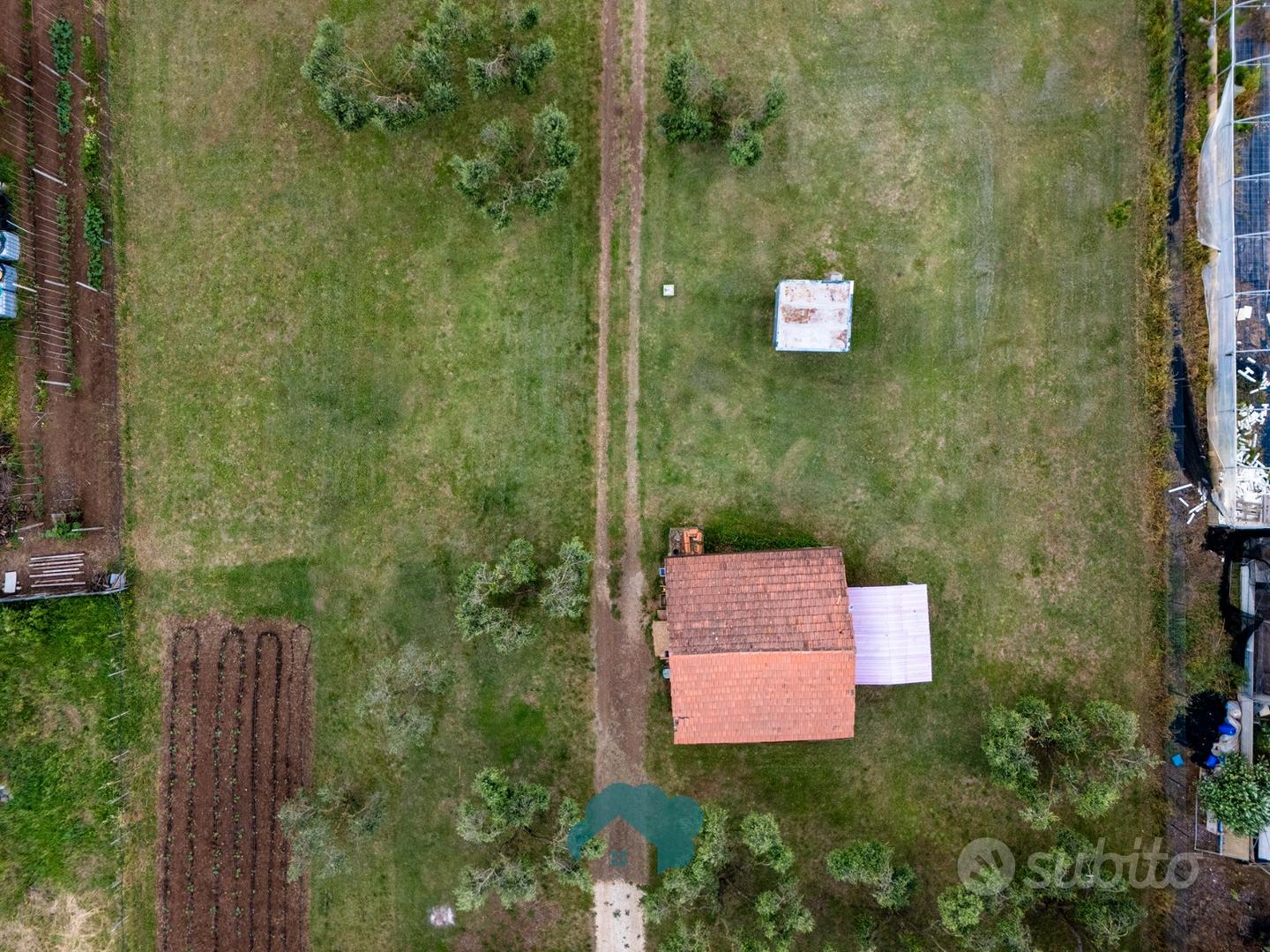 Zagarolo: terreno con rustico e azienda agricola - Altro