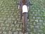 Immagine 2