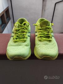 Asics gel Nimbus 24 Lite Show 