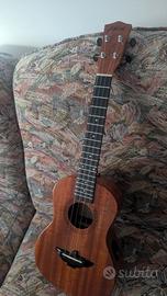 ukulele tenore 