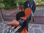 Immagine 1