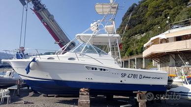 PROLINE 33 EXPRESS