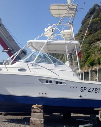 PROLINE 33 EXPRESS
