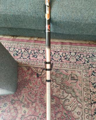 Canna trota torrente