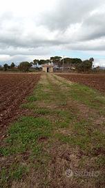Terreno Agricolo