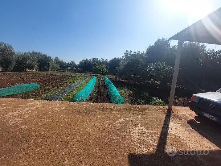 LOTTO DI 1800 MQ ZONA ARENELLA - Vista 4