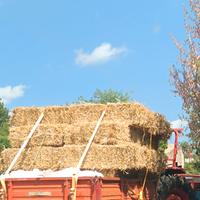 ballette di paglia trebbiatura 2025 