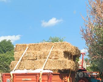 ballette di paglia trebbiatura 2025 