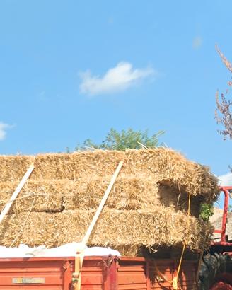 ballette di paglia trebbiatura 2025 