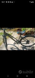 City bike Bottecchia 