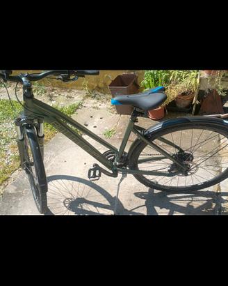 City bike Bottecchia 