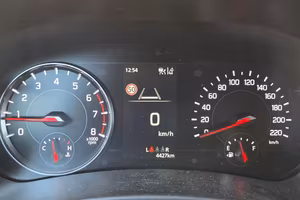 Suzuki Swift Hybrid TOP 