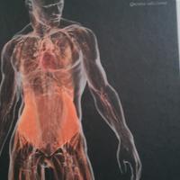 libro anatomia umana 