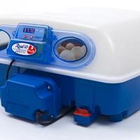 Incubatrice Borotto