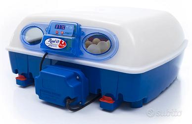 Incubatrice Borotto