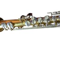 Sax soprano Rollins