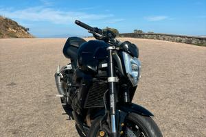 Yamaha FZ1 2009