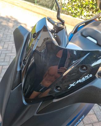 cupolino parabrezza basso sportivo fume' x max 300