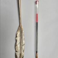 penna stilografica argento