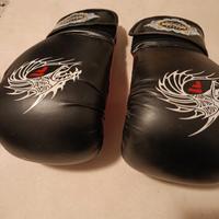 Guantoni da boxe dragone