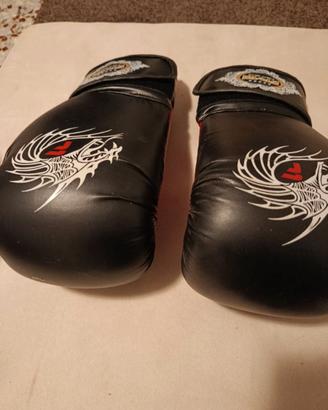 Guantoni da boxe dragone