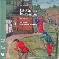 La storia in campo