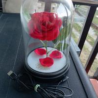 Rosa originale "Bella e la Bestia"