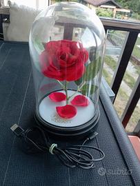 Rosa originale "Bella e la Bestia"