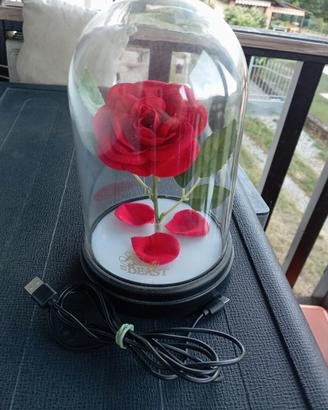 Rosa originale "Bella e la Bestia"