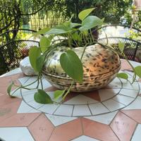 Vaso in Ottone Vintage Ovale 