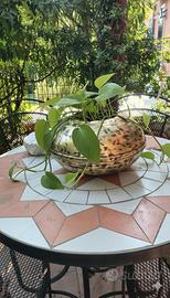 Vaso in Ottone Vintage Ovale 