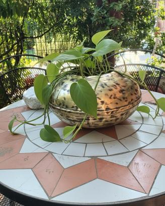 Vaso in Ottone Vintage Ovale 